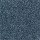 Horizon Carpet: Sharp Selection Blue Ribbon